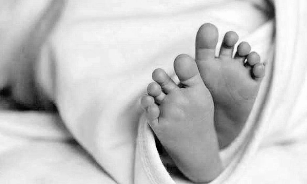 सुतेकै ठाउँमा सर्पले डसेर दाजुभाइको मृत्यु