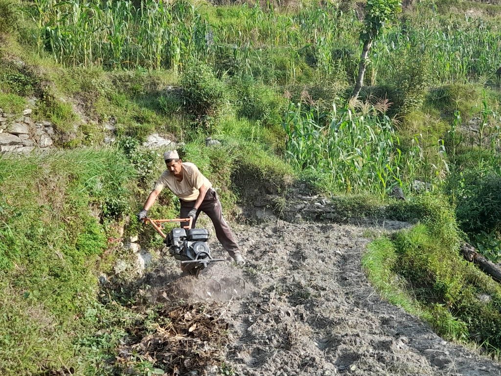 हलो छोडेर ट्याक्टर जोत्दै हिमाली जिल्लाका किसान (भिडियो सहित)