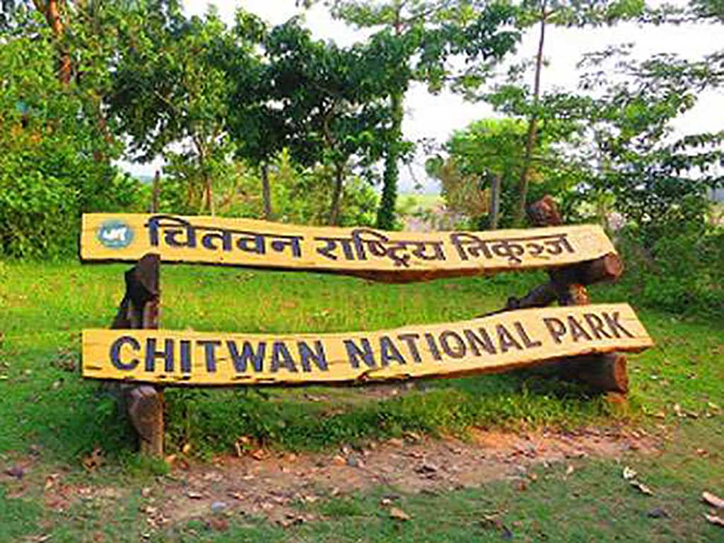 डढेलो नियन्त्रणका लागि तयारी हुन राष्ट्रिय निकुञ्जको आग्रह