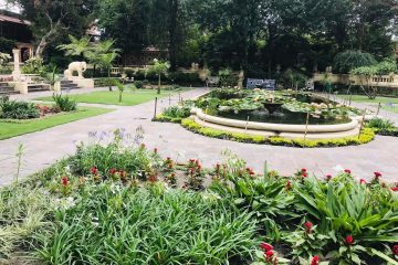 फोटो पत्रकारिताको महत्व