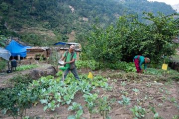 Agriculture and its Role in Climate Change