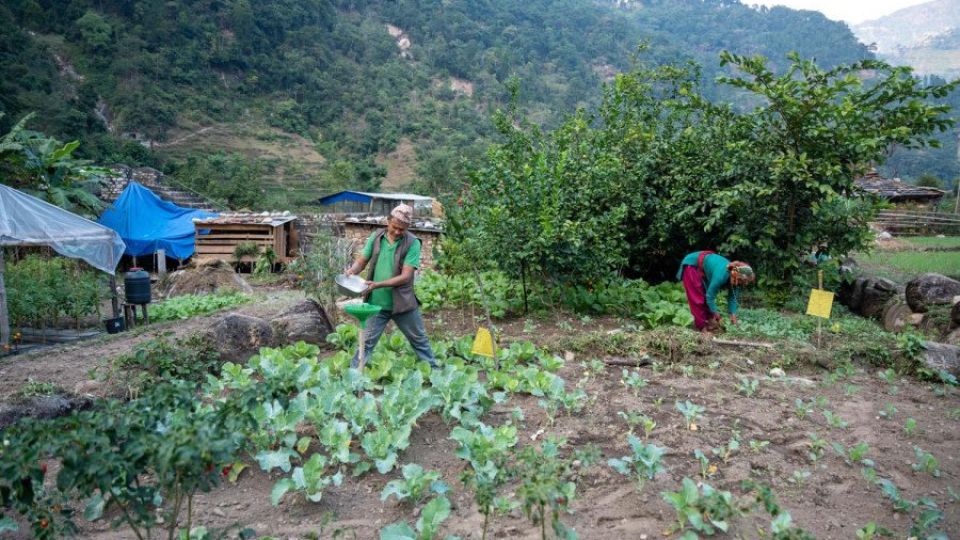 Agriculture and its Role in Climate Change