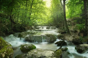 Conservation of Natural Water Resources